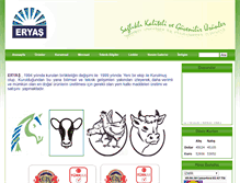 Tablet Screenshot of eryas.com.tr